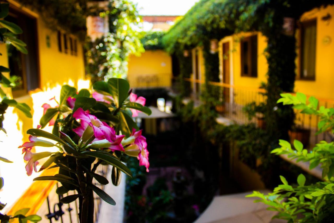 Hotel Dainzu Oaxaca Экстерьер фото